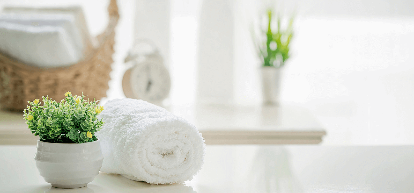A clean bathroom space with small plants and a rolled up flannel.