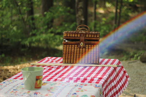 Plan a Picnic