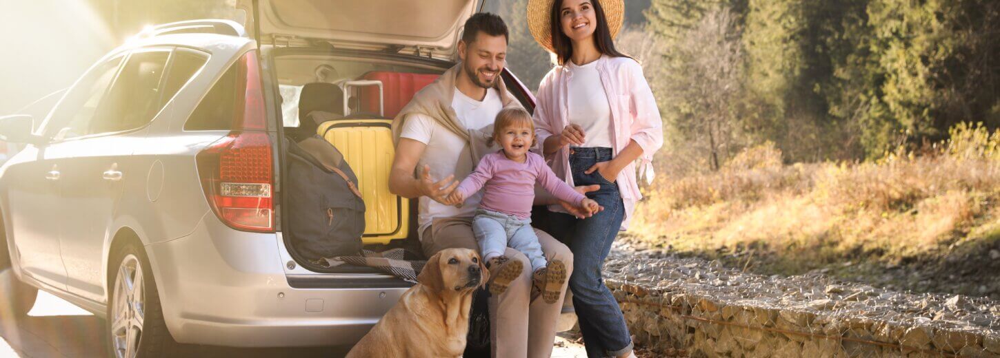 An image of a family and their dog sitting in the boot of a car on their daytrip from Basingstoke.