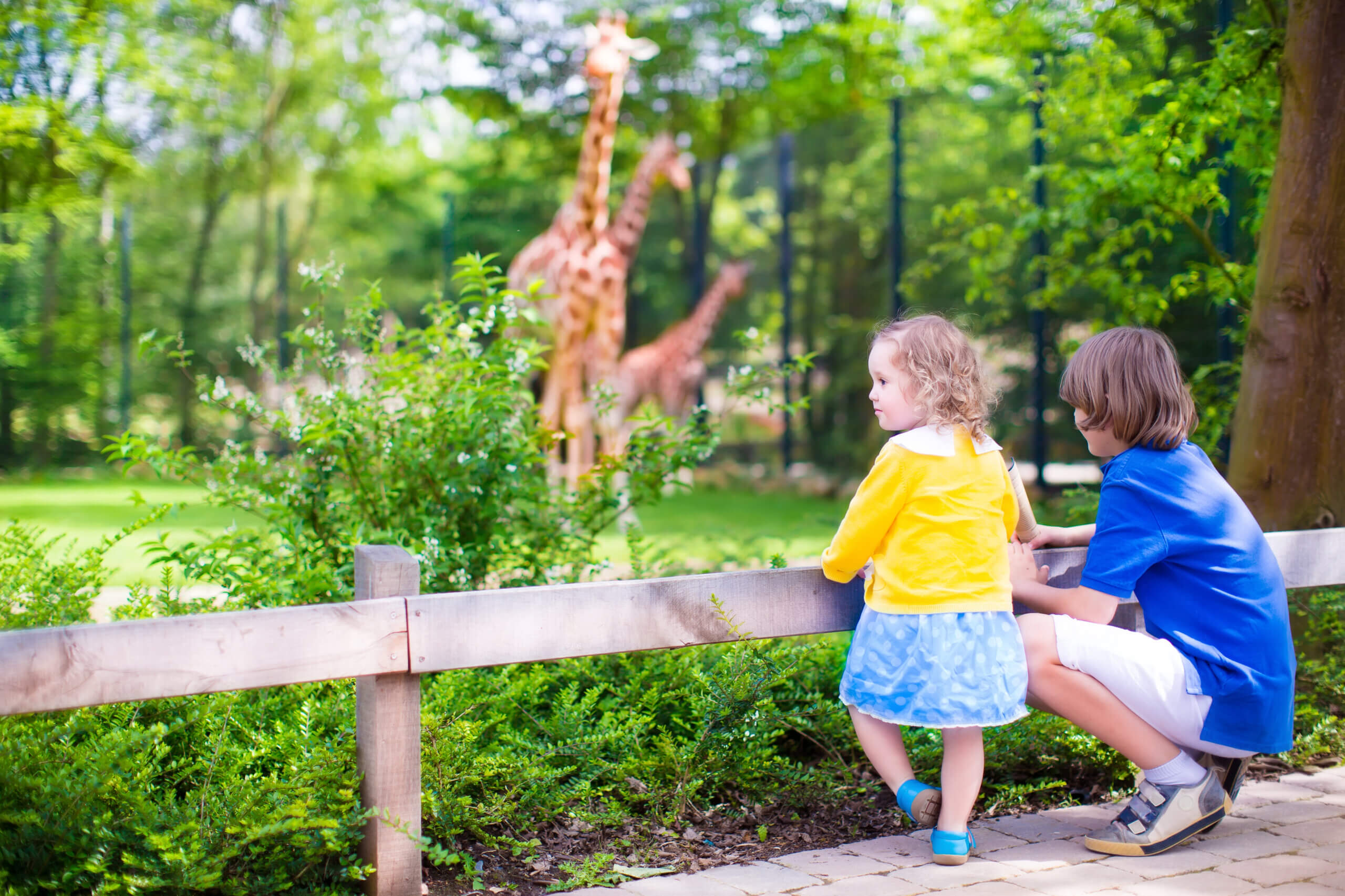 An image of a mum and her daughter at a zoo and looking at giraffes.