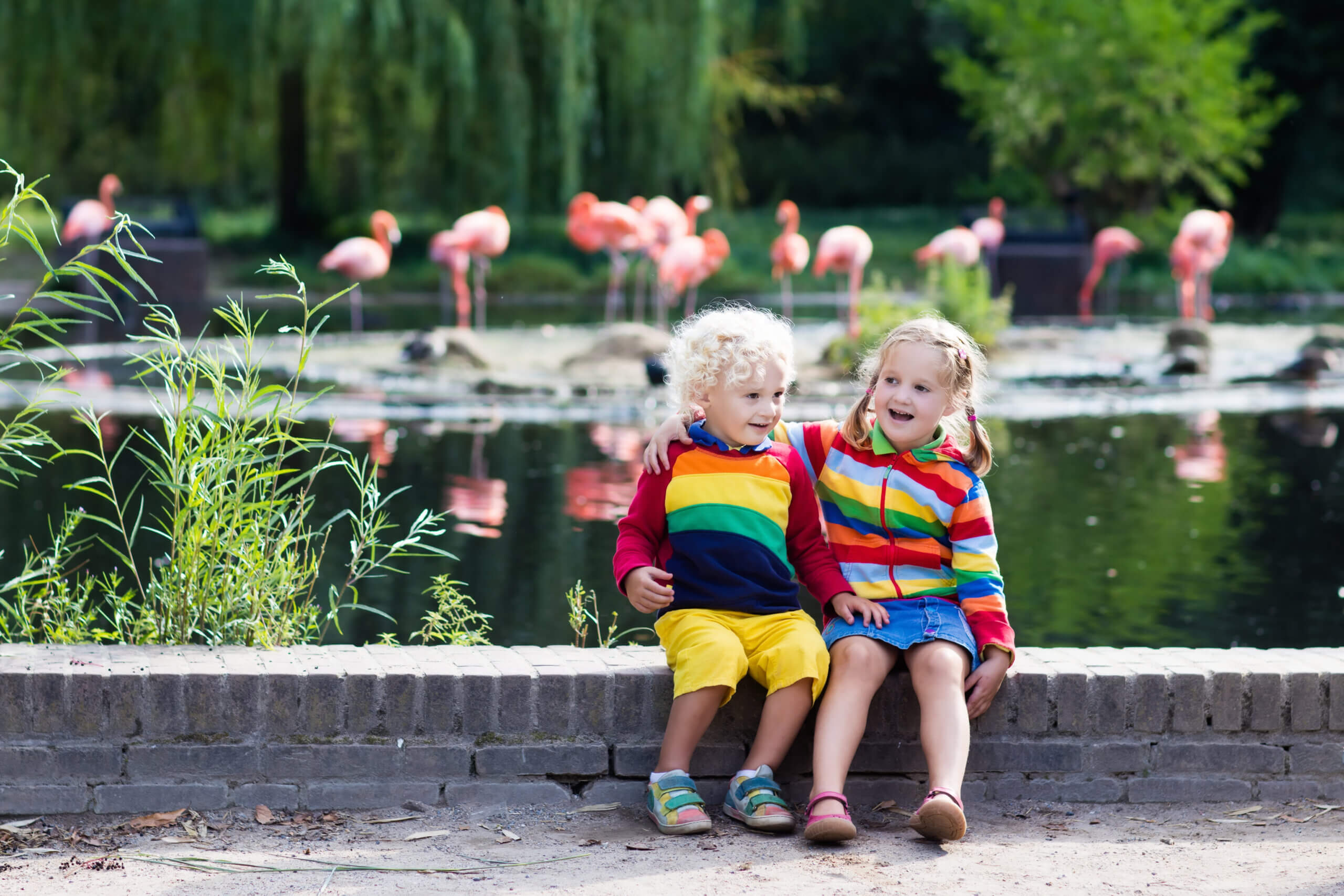 An image of two small children sat on a wall in front of a body of water with several pink flamingoes in the distance.
