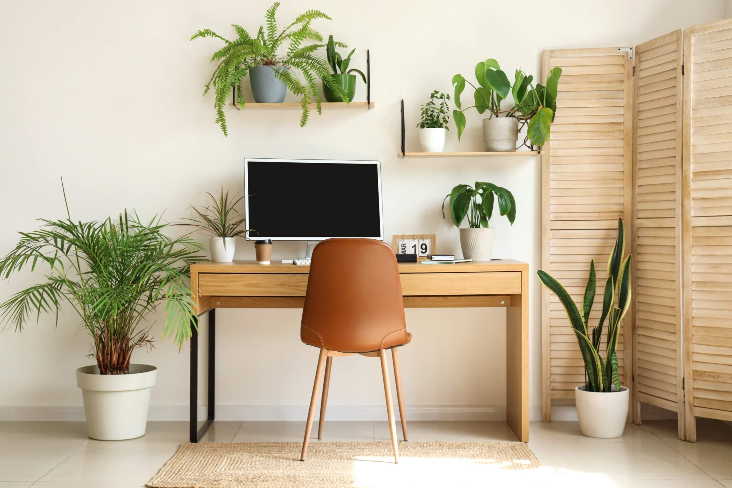 An image of a tidy and tranquil home office in Swindon.