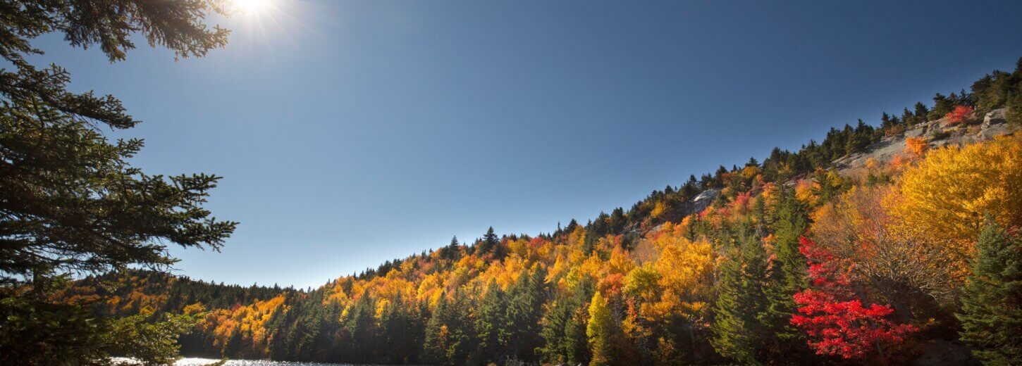 An image of a body of water with autumn trees around it in the night sky.