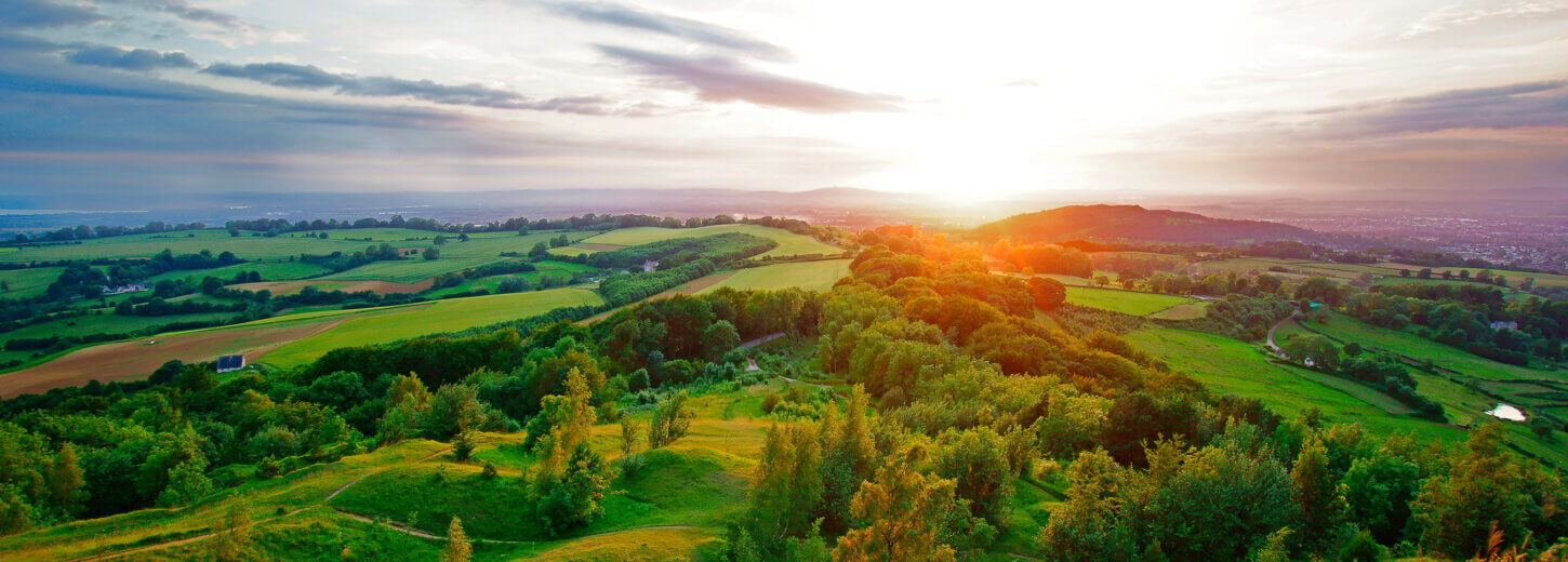 An image of a sunset in the Forest of Dean near Lydney.