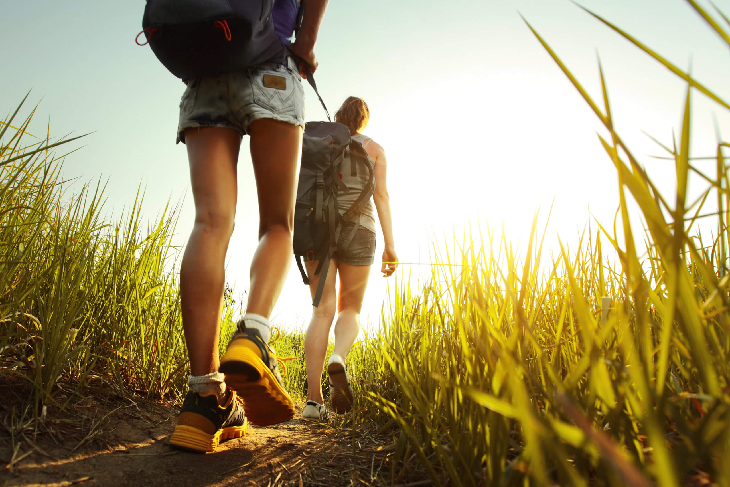 An image of two hikers walking through grass in Lydney.