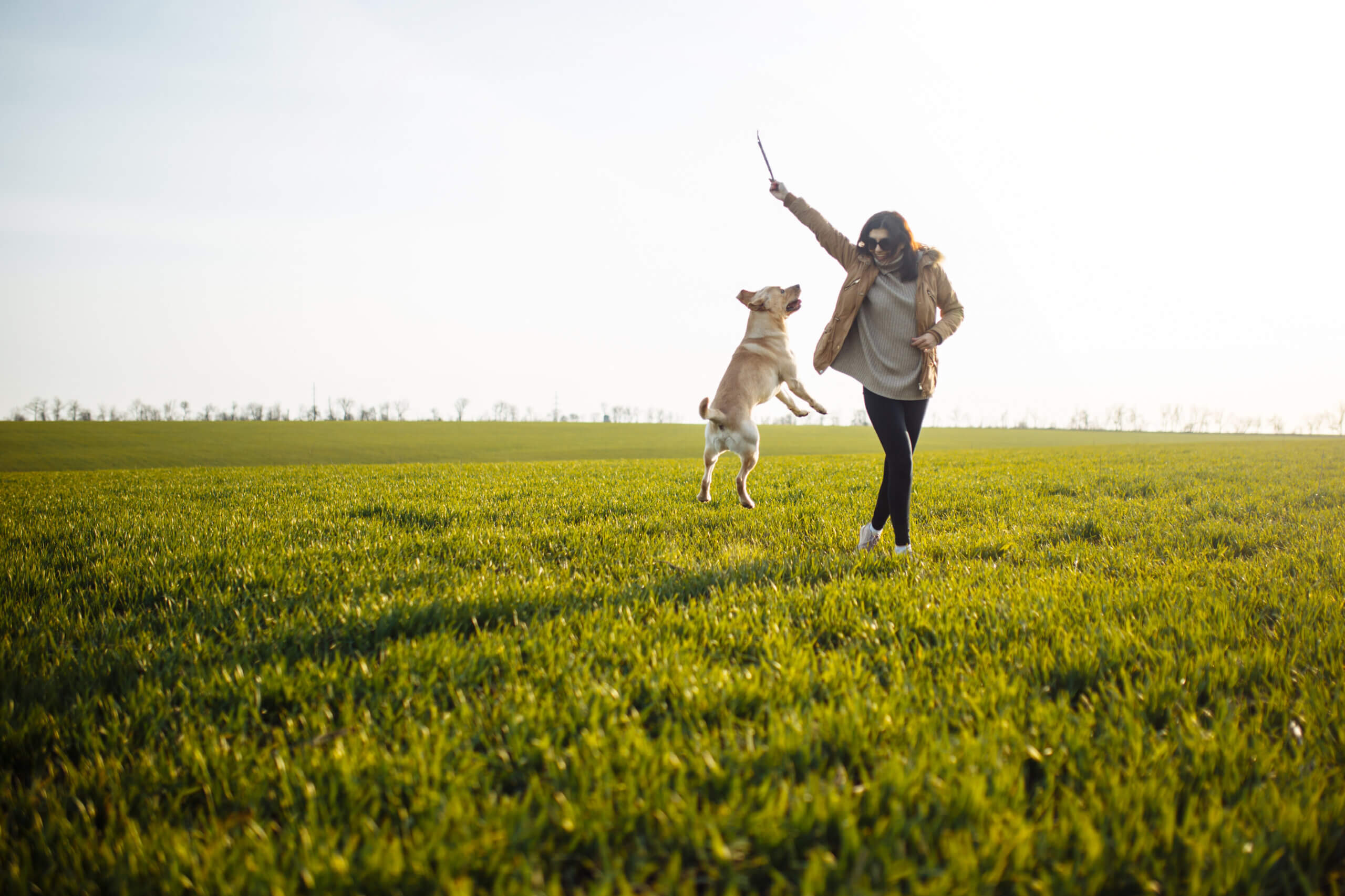 An image of a woman walking her dog in Lydney.
